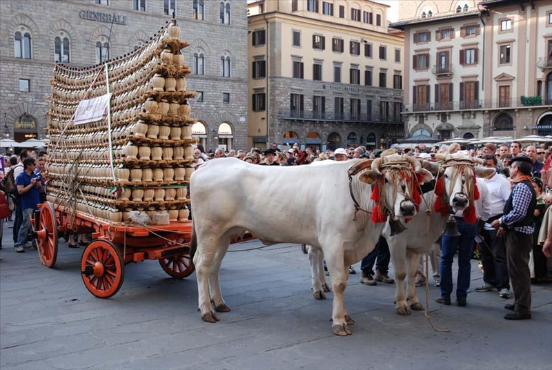 The Carro Matto in Florence